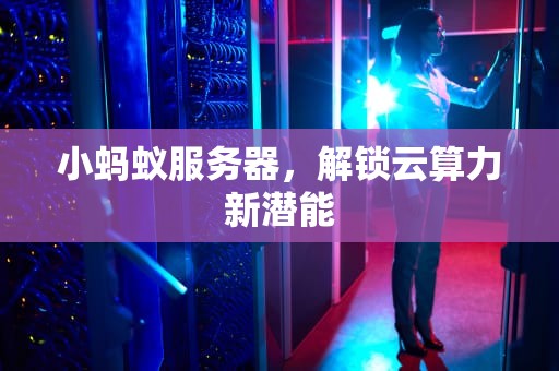 小蚂蚁服务器，解锁云算力新潜能