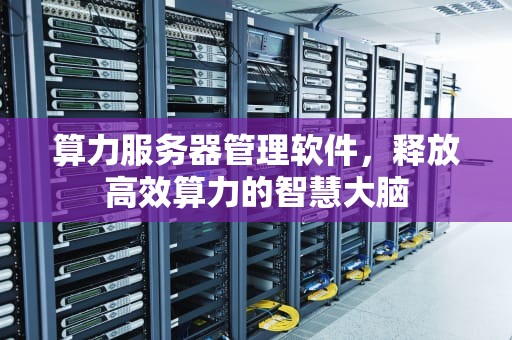 算力服务器管理软件，释放高效算力的智慧大脑