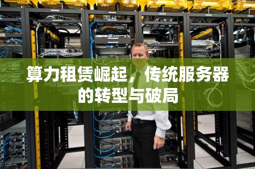 算力租赁崛起，传统服务器的转型与破局