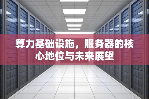 算力基础设施，服务器的核心地位与未来展望