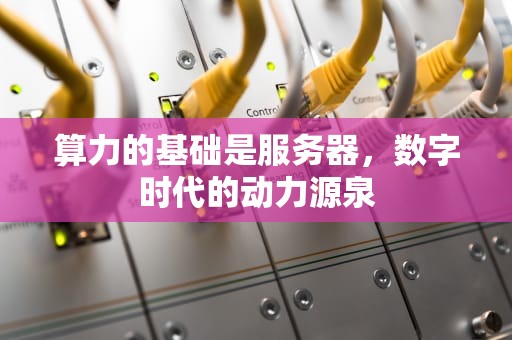 算力的基础是服务器，数字时代的动力源泉