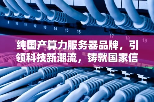 纯国产算力服务器品牌，引领科技新潮流，铸就国家信息安全基石