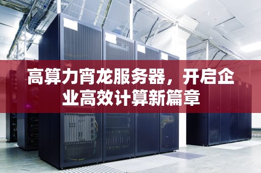高算力宵龙服务器，开启企业高效计算新篇章