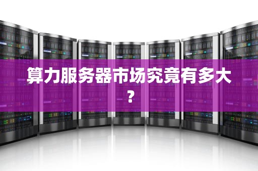 算力服务器市场究竟有多大？