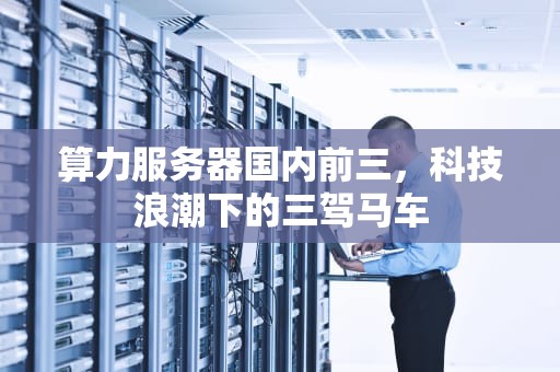 算力服务器国内前三，科技浪潮下的三驾马车