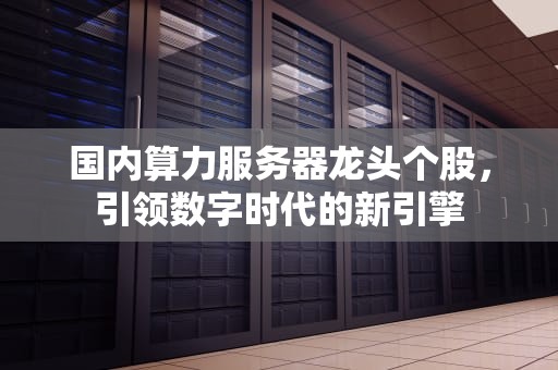 国内算力服务器龙头个股，引领数字时代的新引擎