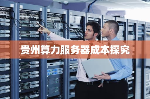 贵州算力服务器成本探究