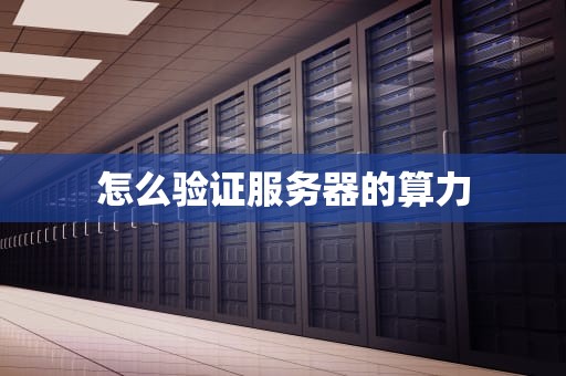 怎么验证服务器的算力