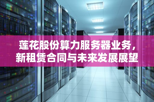 莲花股份算力服务器业务，新租赁合同与未来发展展望