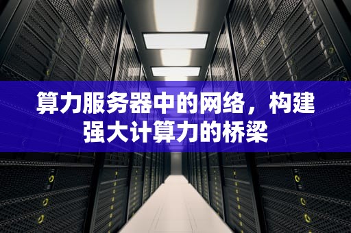 算力服务器中的网络，构建强大计算力的桥梁