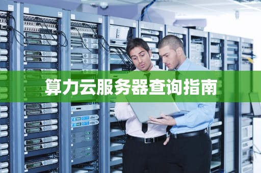 算力云服务器查询指南