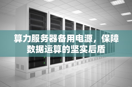 算力服务器备用电源，保障数据运算的坚实后盾