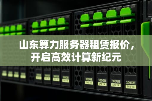 山东算力服务器租赁报价，开启高效计算新纪元