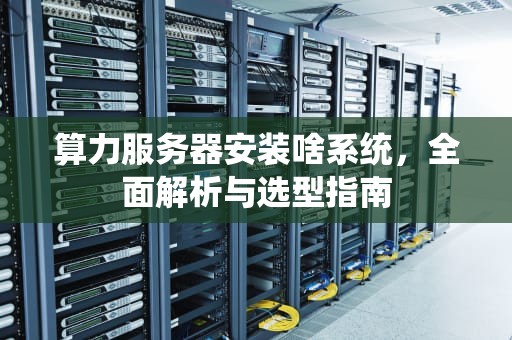 算力服务器安装啥系统，全面解析与选型指南