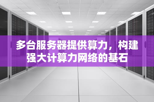 多台服务器提供算力，构建强大计算力网络的基石