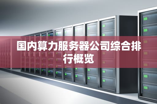 国内算力服务器公司综合排行概览