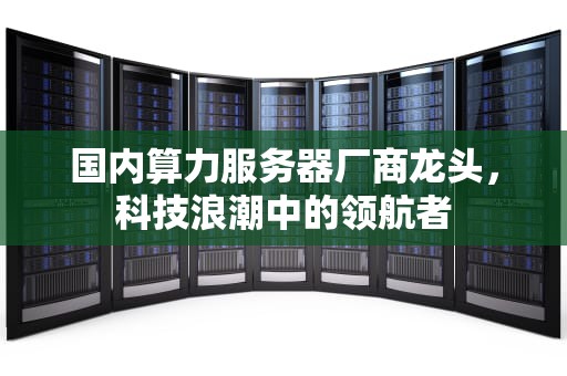 国内算力服务器厂商龙头，科技浪潮中的领航者