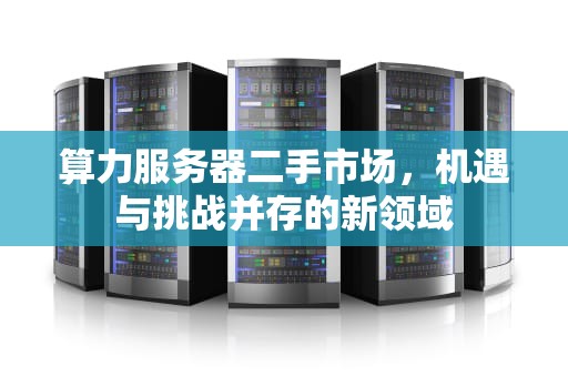 算力服务器二手市场，机遇与挑战并存的新领域