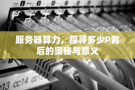 服务器算力，探寻多少P背后的奥秘与意义