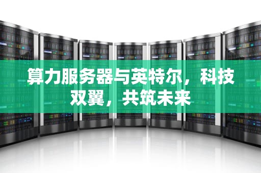 算力服务器与英特尔，科技双翼，共筑未来