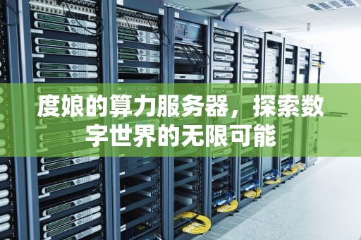 度娘的算力服务器，探索数字世界的无限可能