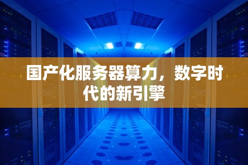 国产化服务器算力，数字时代的新引擎