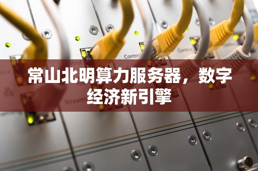 常山北明算力服务器，数字经济新引擎