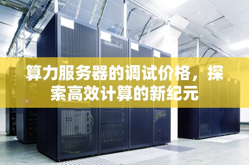 算力服务器的调试价格，探索高效计算的新纪元