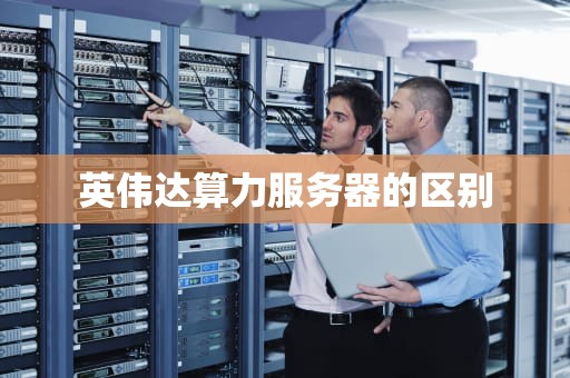 英伟达算力服务器的区别
