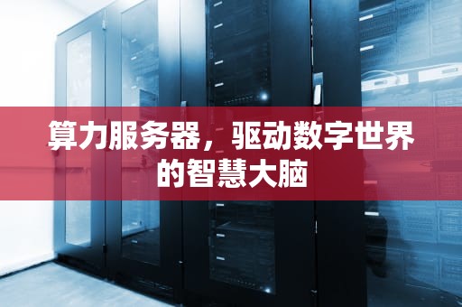 算力服务器，驱动数字世界的智慧大脑