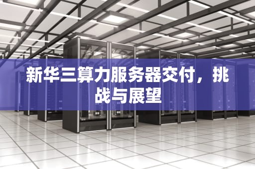 新华三算力服务器交付，挑战与展望
