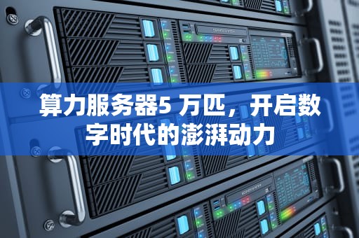 算力服务器5 万匹，开启数字时代的澎湃动力