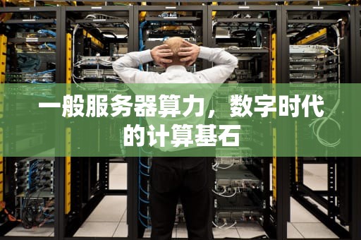 一般服务器算力，数字时代的计算基石