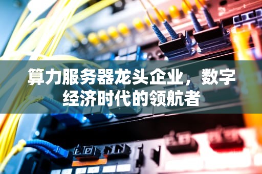 算力服务器龙头企业，数字经济时代的领航者