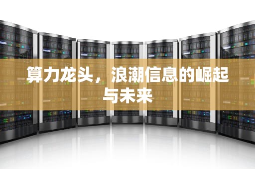 算力龙头，浪潮信息的崛起与未来