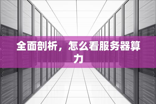 全面剖析，怎么看服务器算力