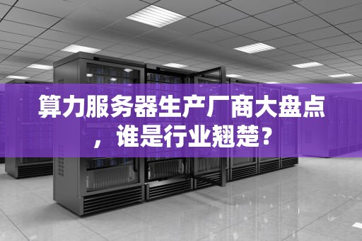 算力服务器生产厂商大盘点，谁是行业翘楚？