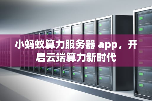 小蚂蚁算力服务器 app，开启云端算力新时代