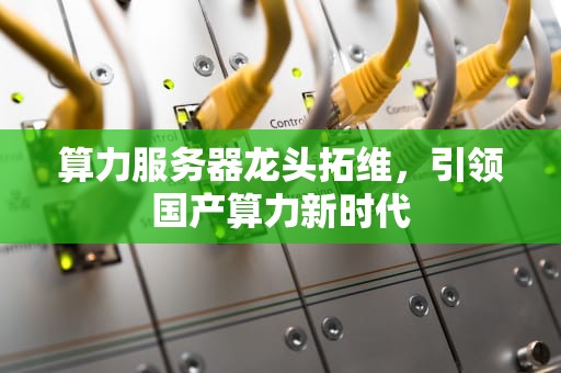 算力服务器龙头拓维，引领国产算力新时代