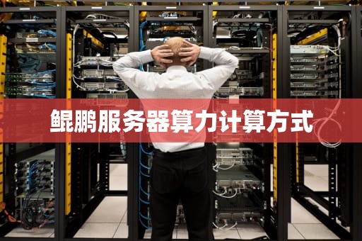 鲲鹏服务器算力计算方式
