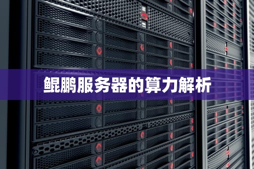 鲲鹏服务器的算力解析