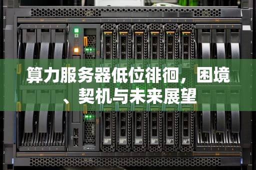 算力服务器低位徘徊，困境、契机与未来展望