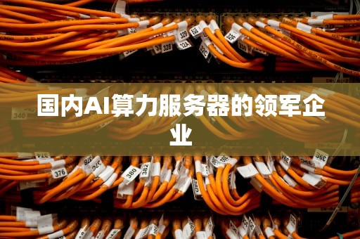 国内AI算力服务器的领军企业