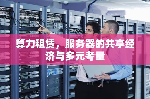 算力租赁，服务器的共享经济与多元考量