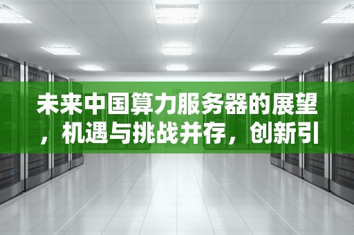 未来中国算力服务器的展望，机遇与挑战并存，创新引领前行