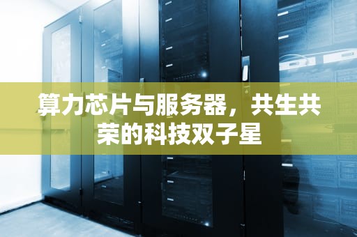 算力芯片与服务器，共生共荣的科技双子星