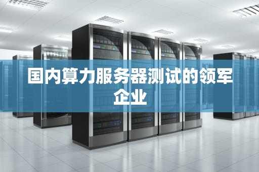 国内算力服务器测试的领军企业