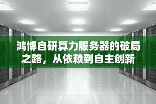 鸿博自研算力服务器的破局之路，从依赖到自主创新