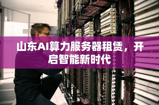山东AI算力服务器租赁，开启智能新时代