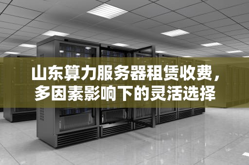 山东算力服务器租赁收费，多因素影响下的灵活选择